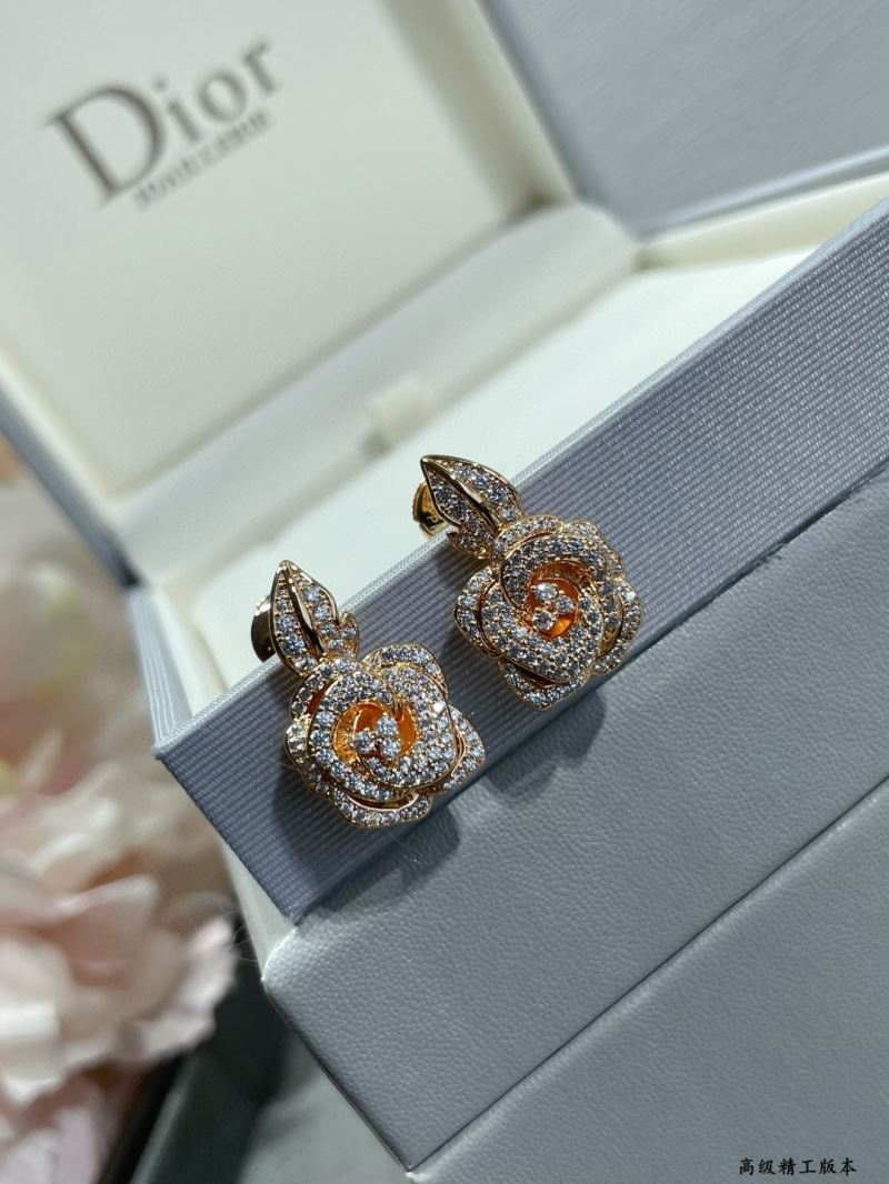 Christian Dior Earrings